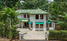 The Jungle Inn
